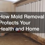 How Mold Removal Protects Your Health and Home